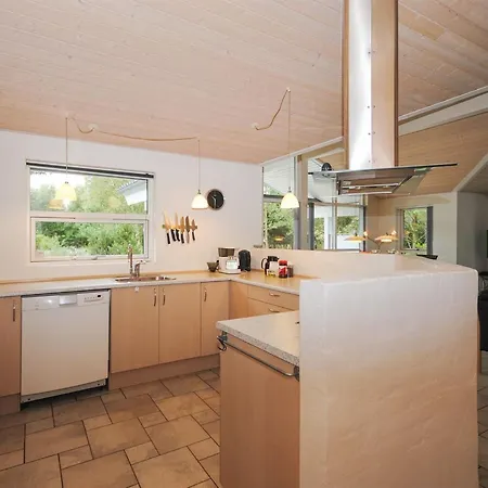 Tamika - 950m From The Sea By Interhome * Fjerritslev